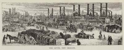 The Levee, New Orleans tekijältä George Augustus Sala