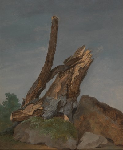 Kivien ja oksien tutkimus tekijältä George Augustus Wallis