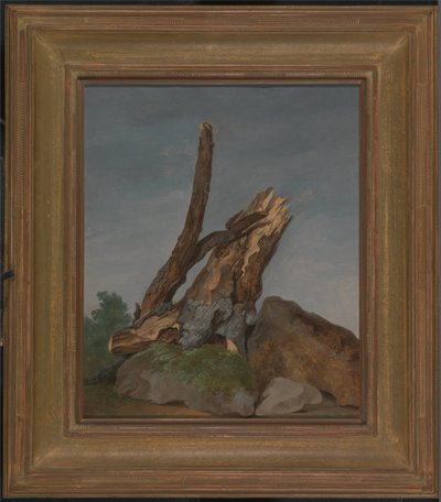 Kallioiden ja oksien tutkimus tekijältä George Augustus Wallis