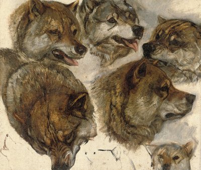 Huskyjen päiden tutkimukset tekijältä George Bouverie Goddard