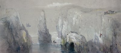 Näkymä Flamborough Head, jossa ryhmä miehiä keräämässä lokkien munia tekijältä George Bryant Campion