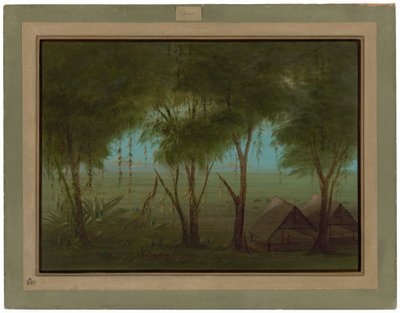 Connibojen kylä tekijältä George Catlin