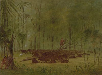 Taistelu pekkarien kanssa - Karibia, 18541869. tekijältä George Catlin