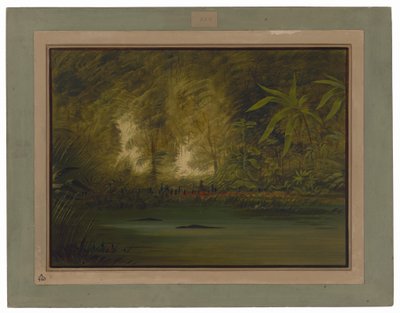Laguuni Amazonin yläjuoksulla tekijältä George Catlin