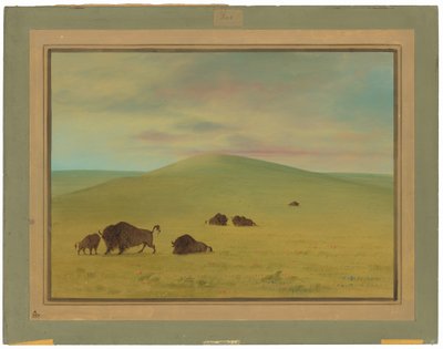 American Pasturage - Prairies of the Platte tekijältä George Catlin