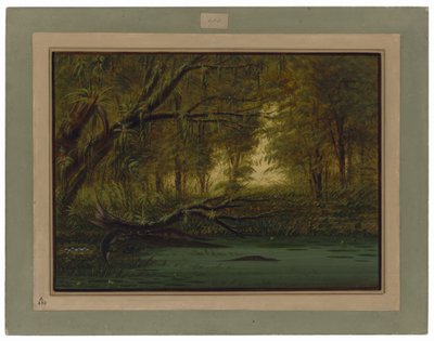  tekijältä George Catlin