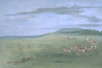 Antiloopin ammunta, houkuteltu ylöspäin tekijältä George Catlin