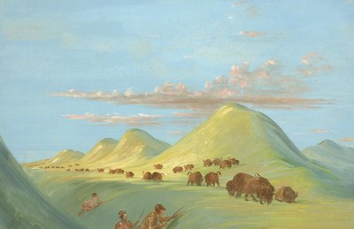 Batiste, Bogard ja minä lähestymässä Buffaloa Missourilla... tekijältä George Catlin