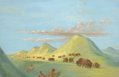 Batiste, Bogard ja minä lähestymme Buffaloa Missourissa, 1837-1839. tekijältä George Catlin