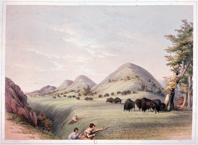 Bison Hunt tekijältä George Catlin