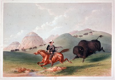 Bison Hunt Pohjois-Amerikassa - Georges Catlinin litografia tekijältä George Catlin