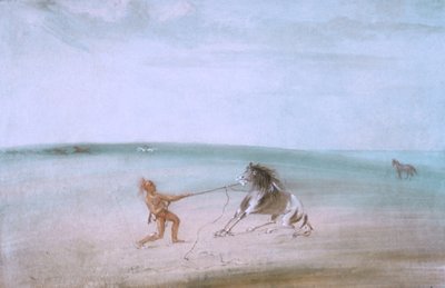Villin hevosen hajottaminen tekijältä George Catlin