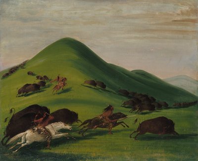 Buffalo Chase Prairie Bluffsin yllä tekijältä George Catlin