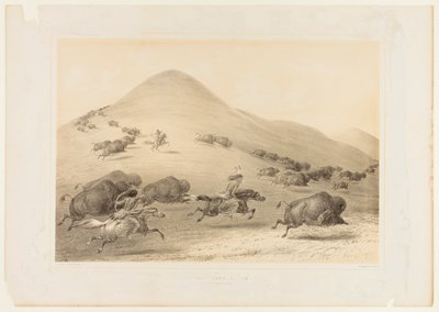 Puhvelijahti, takaa-ajo nro 6 tekijältä George Catlin