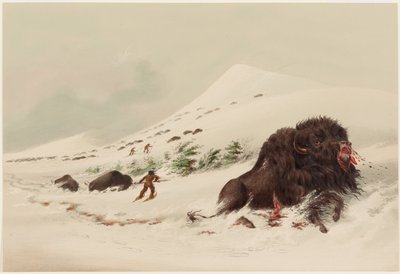  tekijältä George Catlin