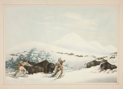 Buffalo Hunt, On Snow Shoes, pl. 15 Pohjois-Amerikan intiaaniportfoliosta tekijältä George Catlin