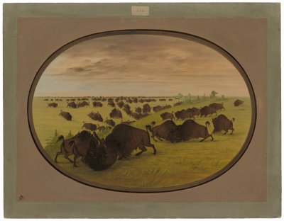 Härkätaistelu tekijältä George Catlin