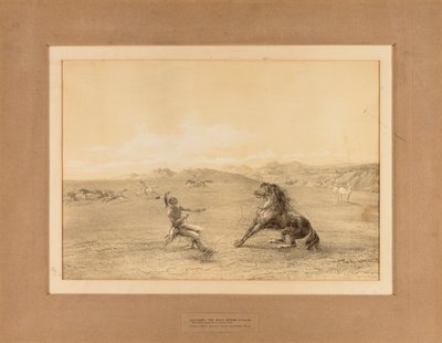 Villihevosen kiinniottaminen - ei. 4 tekijältä George Catlin