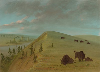 Cedar Bluffs, 18611869. tekijältä George Catlin