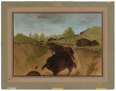 Grizzly Bears hyökkää Buffaloon tekijältä George Catlin