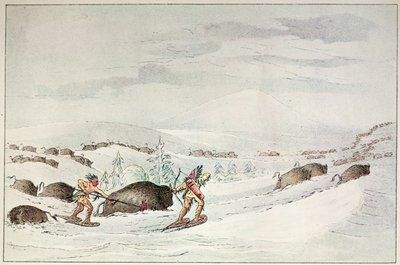 Buffalo metsästys lumikengillä tekijältä George Catlin