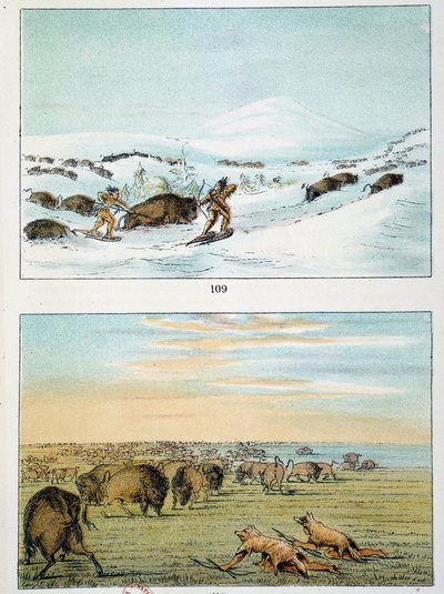 Amerikan intiaanit. Biisonin metsästys: Intiaanit käyttävät lumikenkiä metsästääkseen talvella ja peittyvät suden nahalla kesällä. Kuvitus George Catlin (1794-1872) tekijältä George Catlin