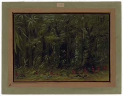 Amazonin metsän sisätilat - Zurumati tekijältä George Catlin