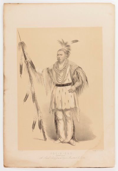 Joc-o-sot, kävelevä karhu tekijältä George Catlin