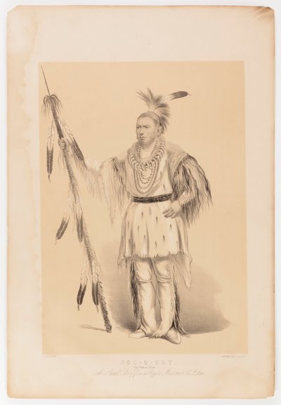 Joc-o-sot, kävelevä karhu tekijältä George Catlin