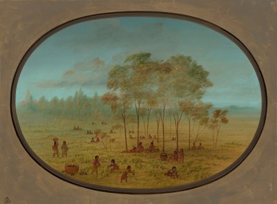 Kiowan intiaanit keräävät villirypäleitä, 18611869. tekijältä George Catlin