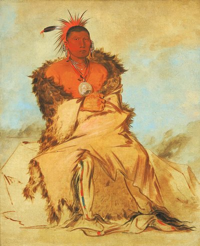 Loo-rá-wée-re-coo, Lintu, joka menee sotaan, Tapage Pawnee... tekijältä George Catlin