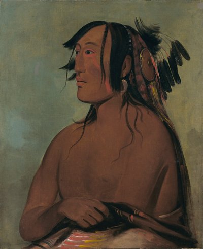 Pa-ris-ka-roó-pa, Kaksi varista, nuorempi... tekijältä George Catlin