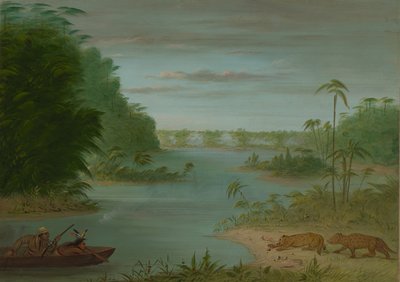 Pont de Palmiers and Tiger Shooting, 18541869. tekijältä George Catlin