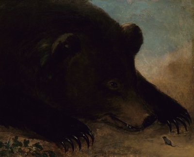 Grizzlykarhun ja hiiren muotokuvia, elämän koko, 1846-1848. tekijältä George Catlin