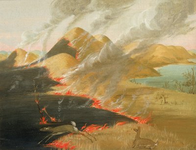 Prairie Bluffs palaminen tekijältä George Catlin