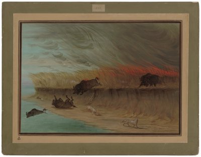 Prairie Meadows Burning tekijältä George Catlin