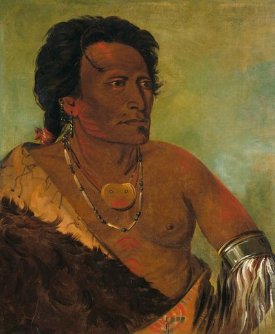 Sky-se-ró-ka, heimon toinen päällikkö tekijältä George Catlin