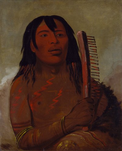 Tcha-dés-sa-ko-máh-pee, Karhun lapsi - tekijältä George Catlin