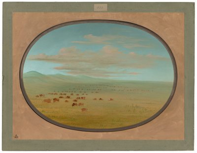 Villikarja laiduntamassa Pampa del Sacramentossa tekijältä George Catlin