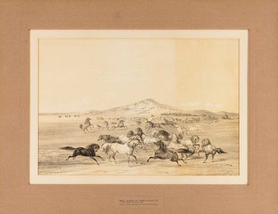 Villihevoset leikkimässä - ei. 3 tekijältä George Catlin