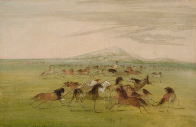Villihevoset leikkimässä tekijältä George Catlin