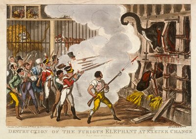 Raivostuneen norsun tuhoaminen Exeter Changessa, 1826 tekijältä George Cruikshank
