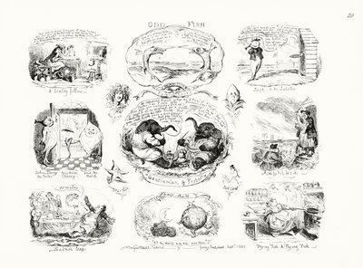 Odd Fish (kaiverrus) tekijältä George Cruikshank