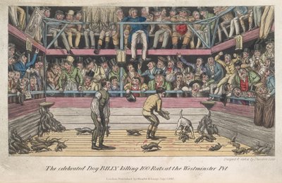 Rottien tappaminen, "Elämä Lontoossa jne.", Pierce Egan tekijältä George Cruikshank