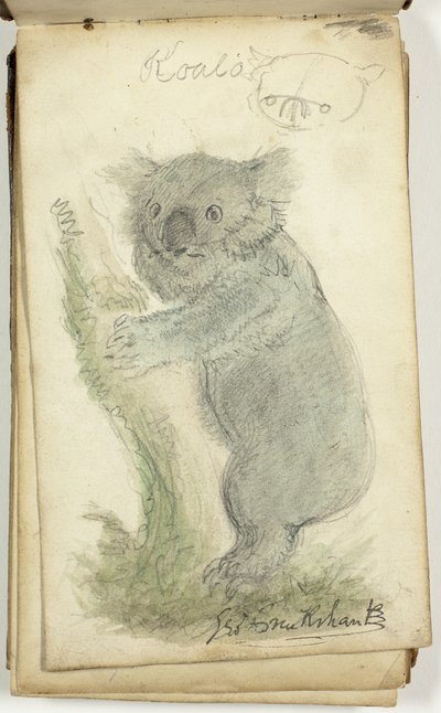 Luonnoskirja tekijältä George Cruikshank