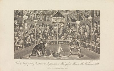 Tom ja Jerry näyttävät tylsältä... tekijältä George Cruikshank