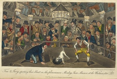 "Tom ja Jerry urheilevat suorastaan ilmiötä Monkey,Jacco,Maccaco, Westminsterin kaivossa". Koirataistelu, "Life in London, etc.", Pierce Egan tekijältä George Cruikshank