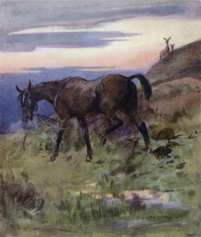 Kuvitus kirjaan The Story of a Red Deer (väri litho) tekijältä George Denholm Armour