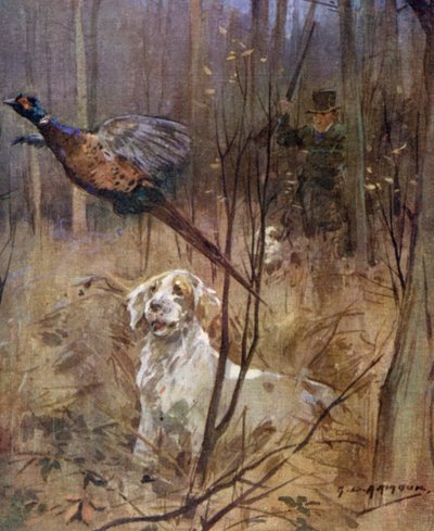 Fasaaniammunta vanhaan tyyliin (väri litho) tekijältä George Denholm Armour