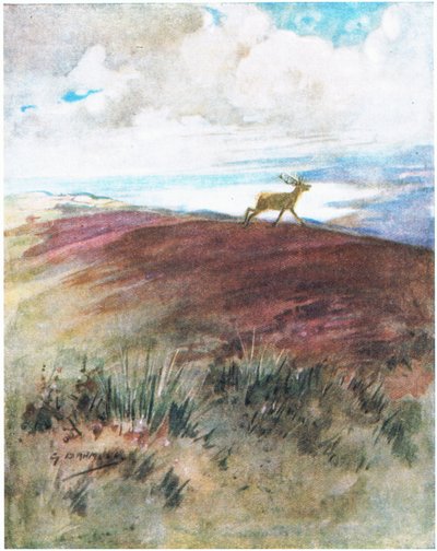 Ilma oli lähellä ja raskasta, kun hän laukaisi alas harjanteelta (väri litho) tekijältä George Denholm Armour